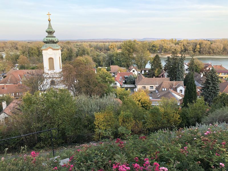 Szentendre_seta_rozsa